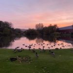 A pond at dusk, the sky is blu pink and orange, some birds are on the edge of the pond,