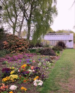 A garden with flowers of all different colours and varieties. There are trees in the background and a glasshouse too.